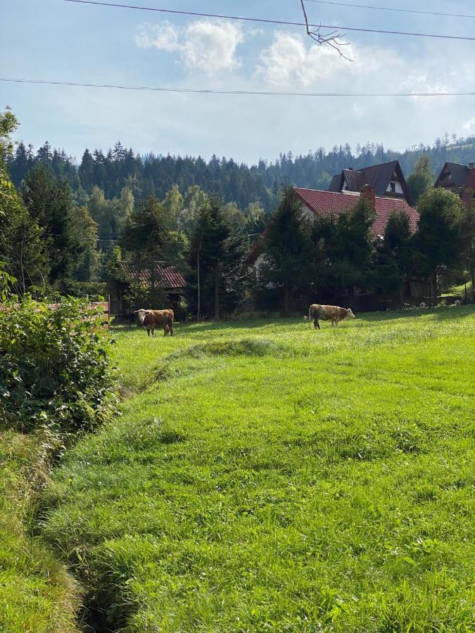 Willa Agroturystyka u Beaty Dom II Korbielów Zewnętrze zdjęcie